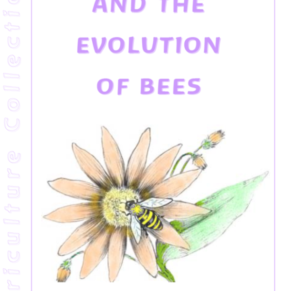 Apiculture and the Evolution of Bees
