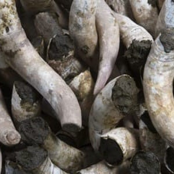 Considera Grab dec 2025